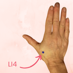 liver 4 acupuncture point